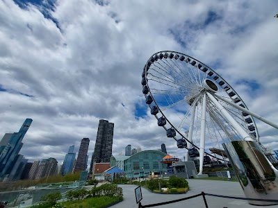 Chicago  9
