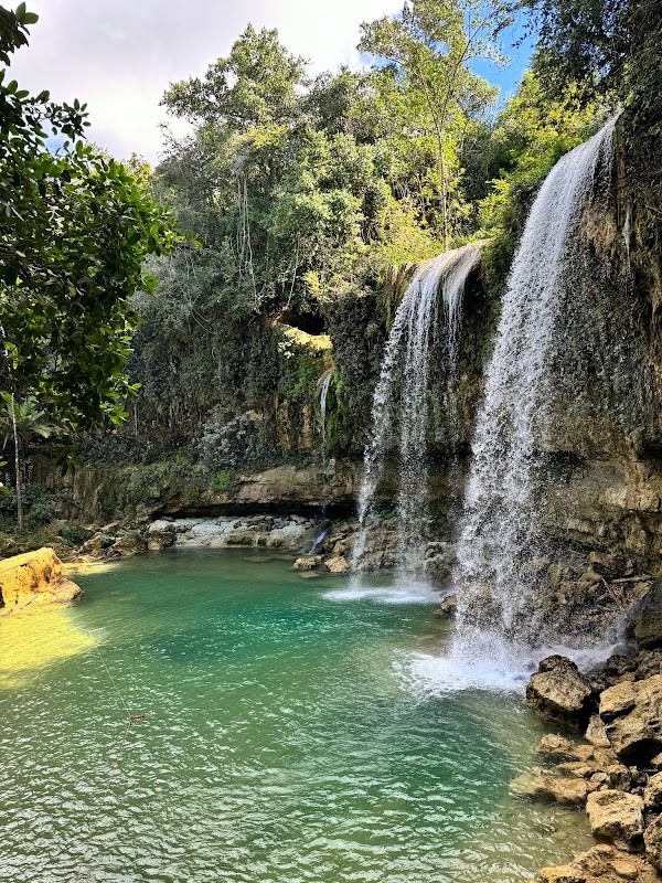 SAlto Alto 1