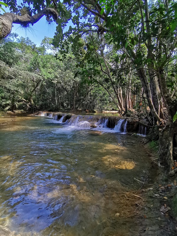 SAlto Alto 5