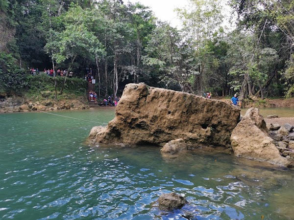 SAlto Alto 3