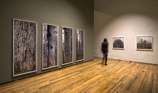 Corkin Gallery 2