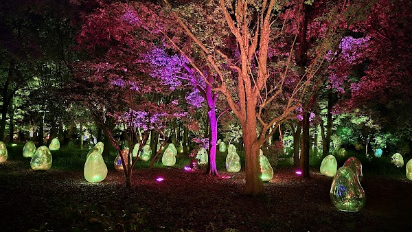teamLab Botanical Garden Osaka 5