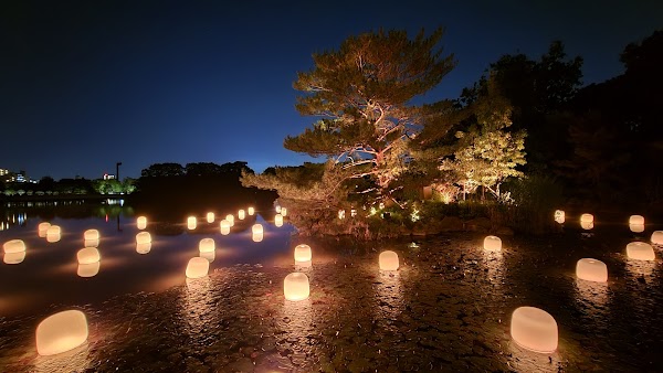 teamLab Botanical Garden Osaka 3