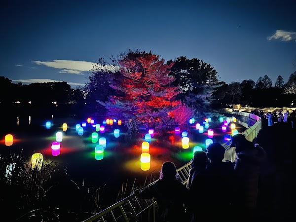 teamLab Botanical Garden Osaka 2