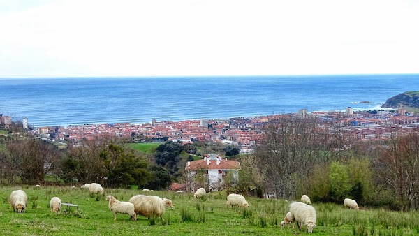 Zarautz 4
