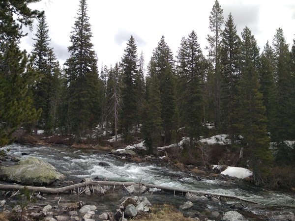 Hidden Falls Trail