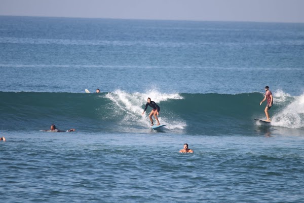 Old Mans Surf Rental