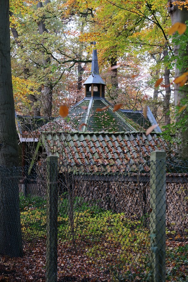 Molenbosch 5