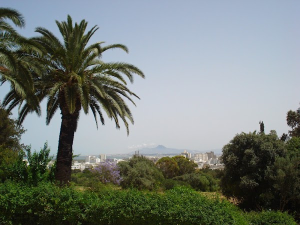 Belvedere Park 6