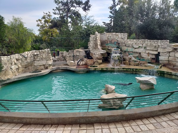 Belvedere Park 3