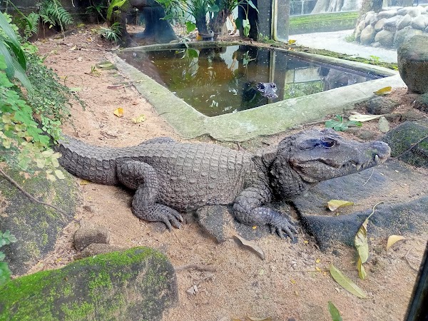 Bali Reptile Park 3