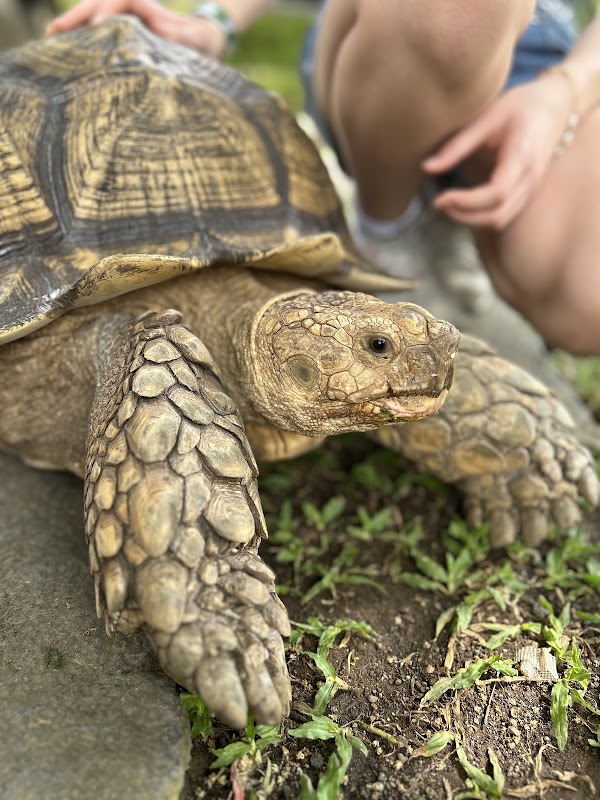 Bali Reptile Park 2