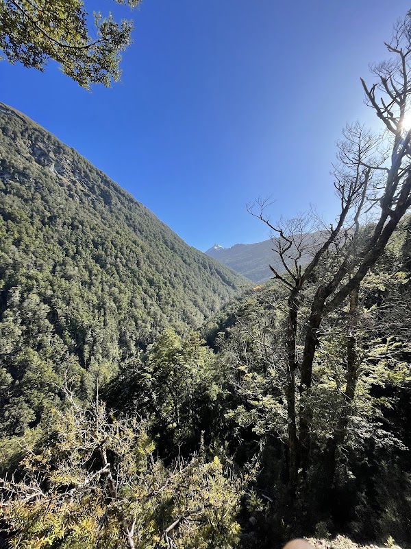 Earnslaw Glacier Lookout 5