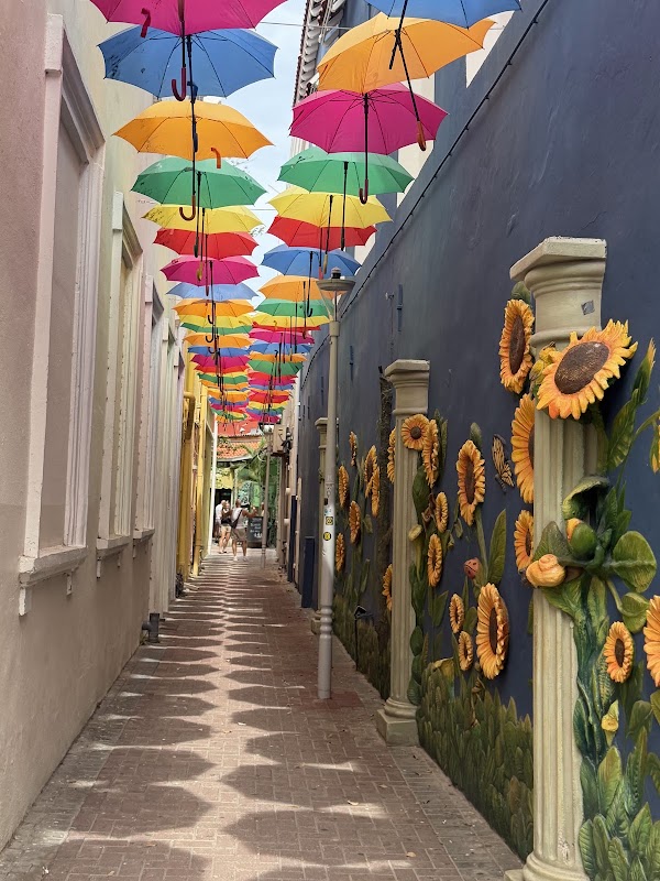 Umbrella Street