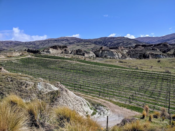 Mt Difficulty Wines 4