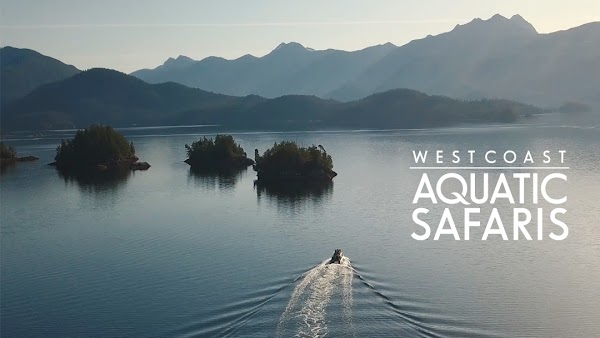 West Coast Aquatic Safaris 1