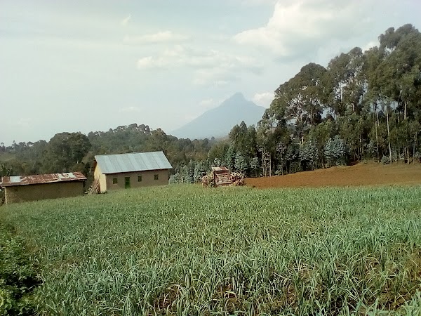 Rubavu 4
