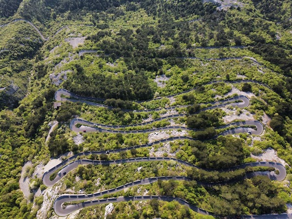 Kotor Serpentine