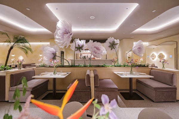 Tomacado 花厨 Singapore