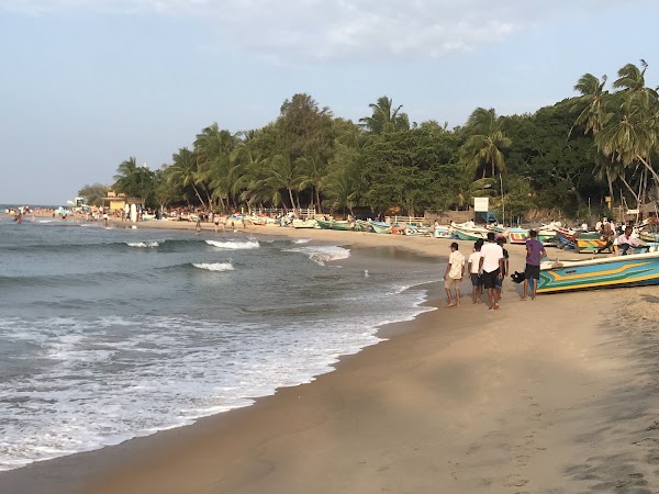 Arugam Bay Beach 5