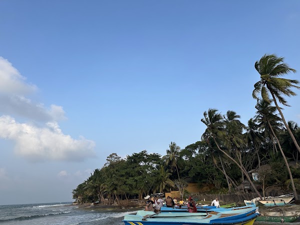 Arugam Bay Beach 4