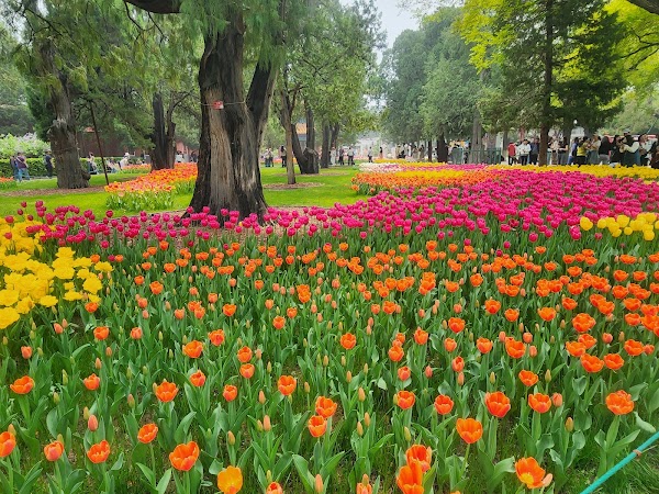 Zhongshan Park （West Gate 1） 5