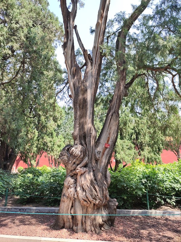 Zhongshan Park （West Gate 1） 3
