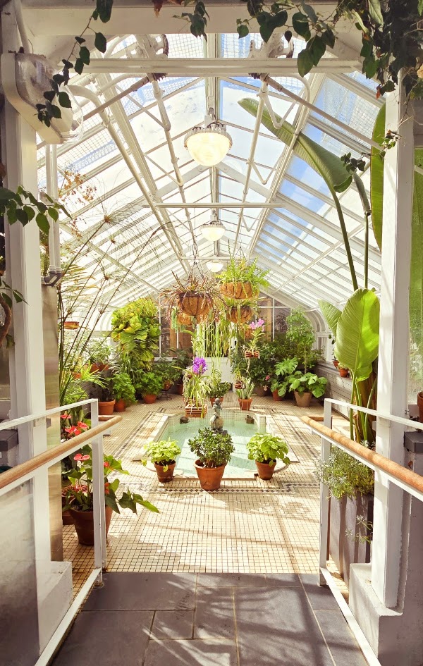 Westmount Conservatory and Greenhouses