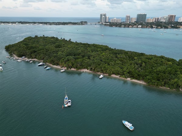 Raccoon Island Miami 2
