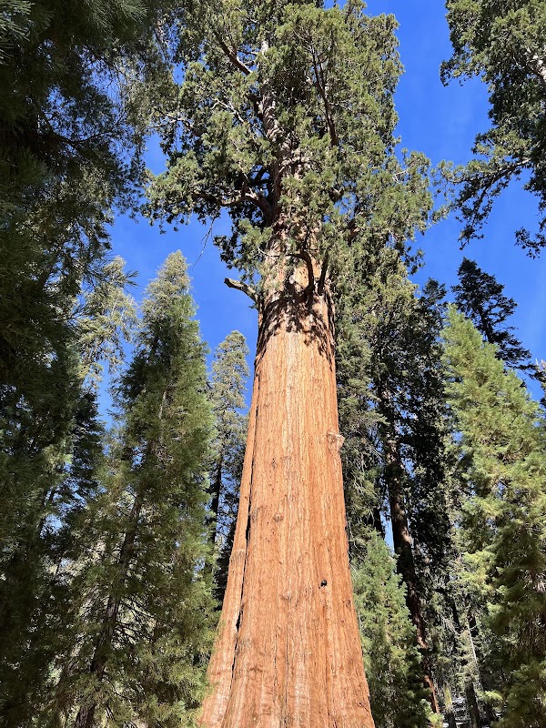 Beetle Rock Trailhead
