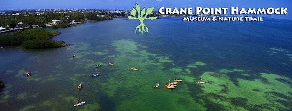 Crane Point Hammock
