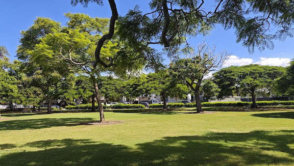 New Farm Park 4