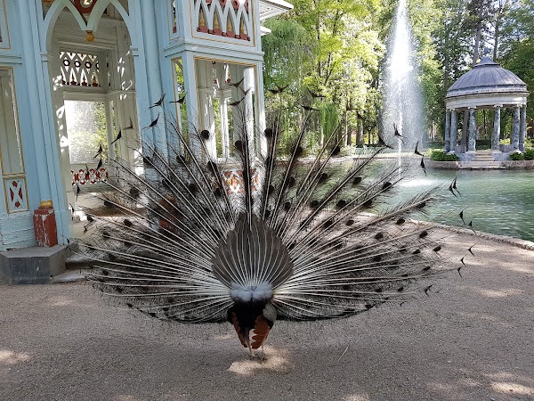 Jardín del Príncipe 5