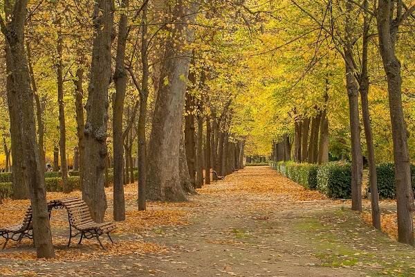 Jardín del Príncipe 3