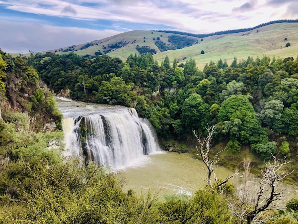 Waihi Falls 5
