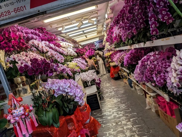 Flower Market Road 4