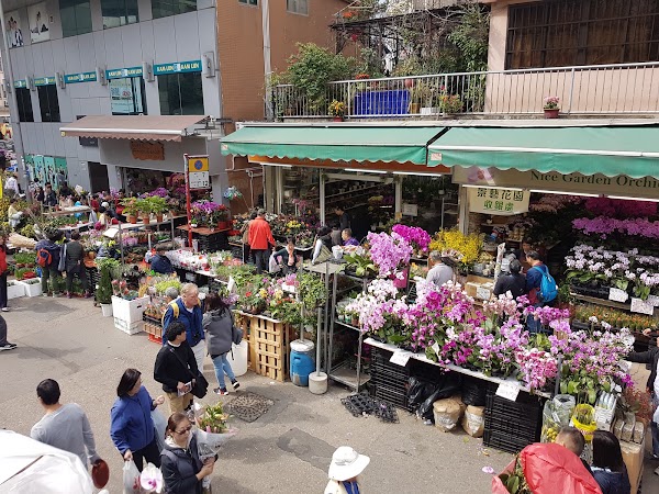 Flower Market Road 3