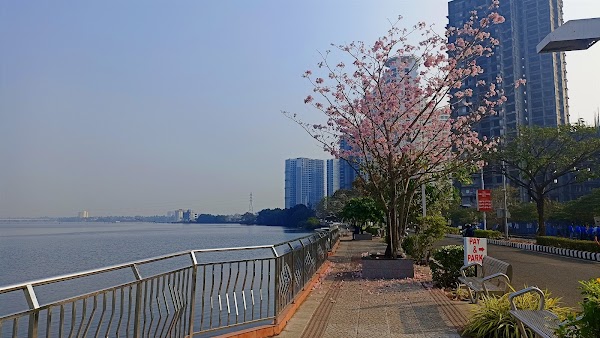 Kochi 5