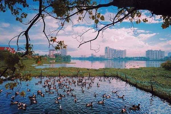 Kochi 3