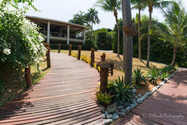 Coconut Island 2