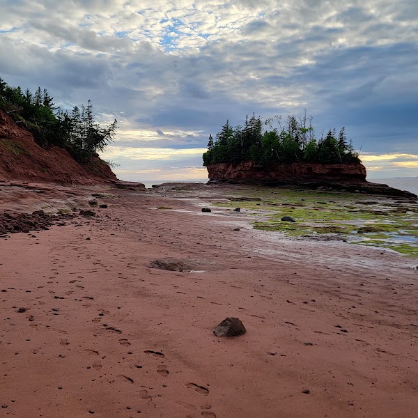 Burntcoat Head Park 4