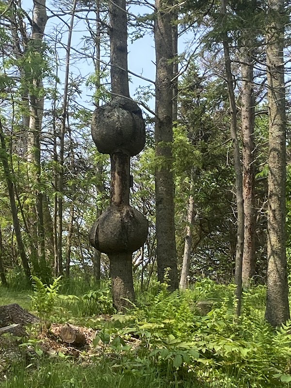 Burntcoat Head Park 2