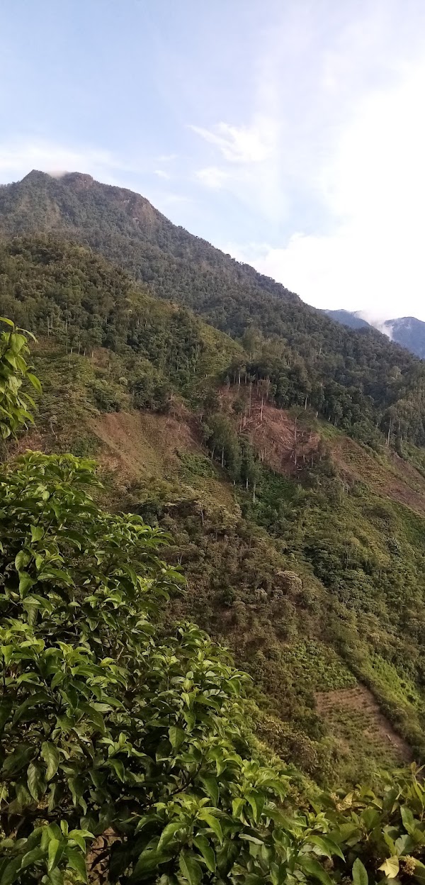 Sierra de las Minas 4