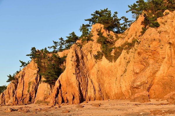 파도리해수욕장 2