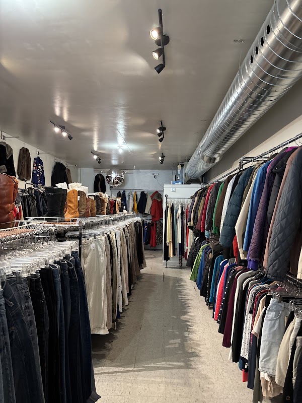 tara thrift 5
