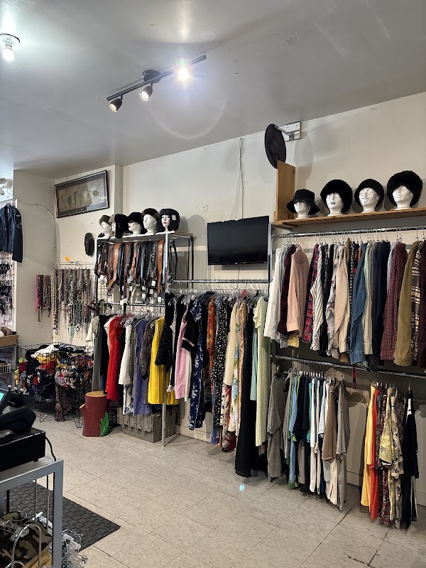 tara thrift 4