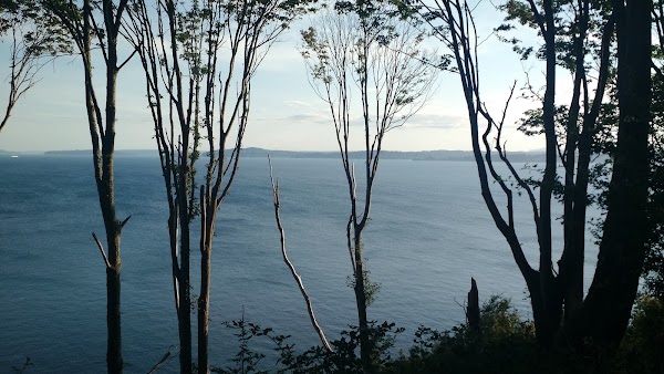 Discovery Park Boulevard