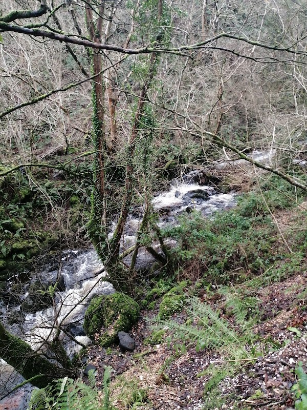 Cranny Falls 4