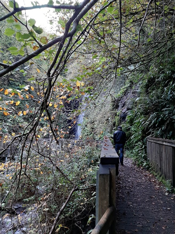 Cranny Falls 2