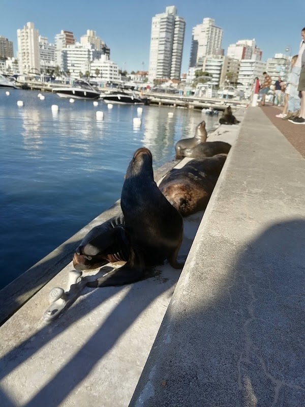 Punta del Este 5